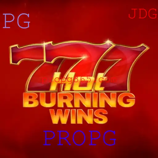 Descubra o Fascinante Mundo de HotBurningWins: A Nova Sensação no Universo dos Jogos